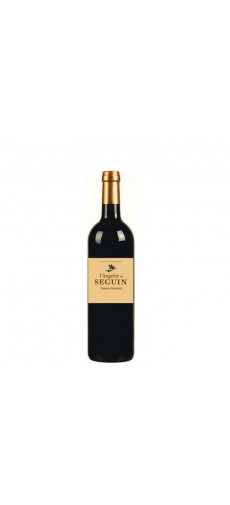 L'Angelot de Séguin 2016 37.5cl - Pessac-Léognan