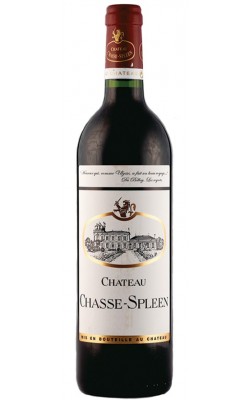Château Chasse-Spleen 2020 - Moulis en Médoc