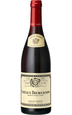 Coteaux Bourguignons 2023 - Maison Louis Jadot