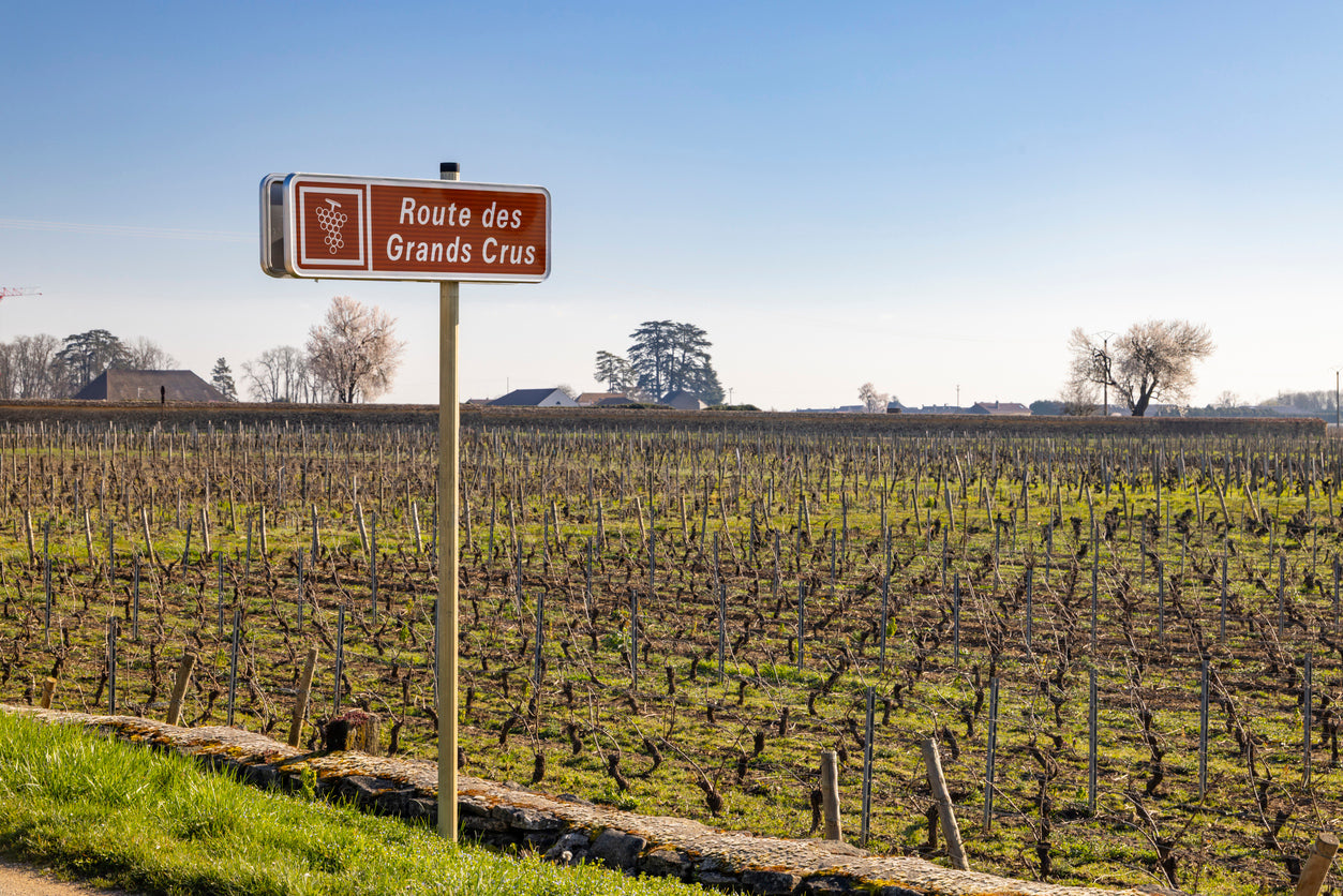 Grands Vins de Bordeaux : les incontournables des fêtes