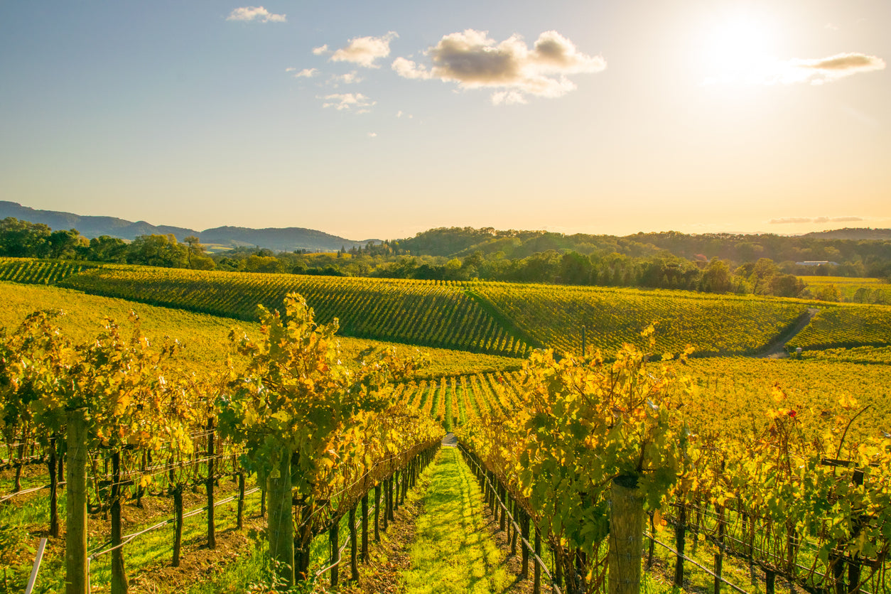 Vins de Californie