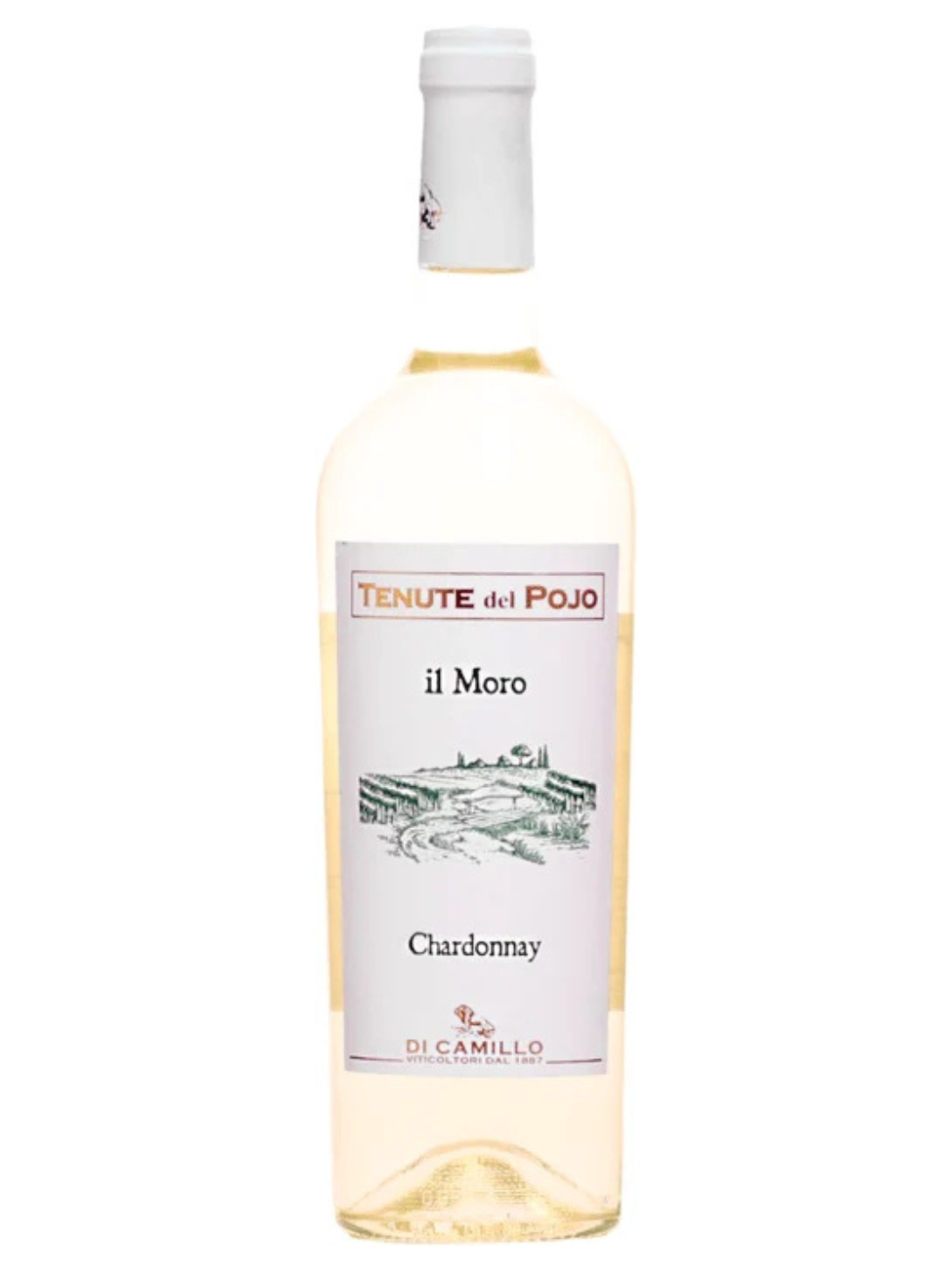 Di Camillo Tenute del Pojo – Il Moro Chardonnay 2025